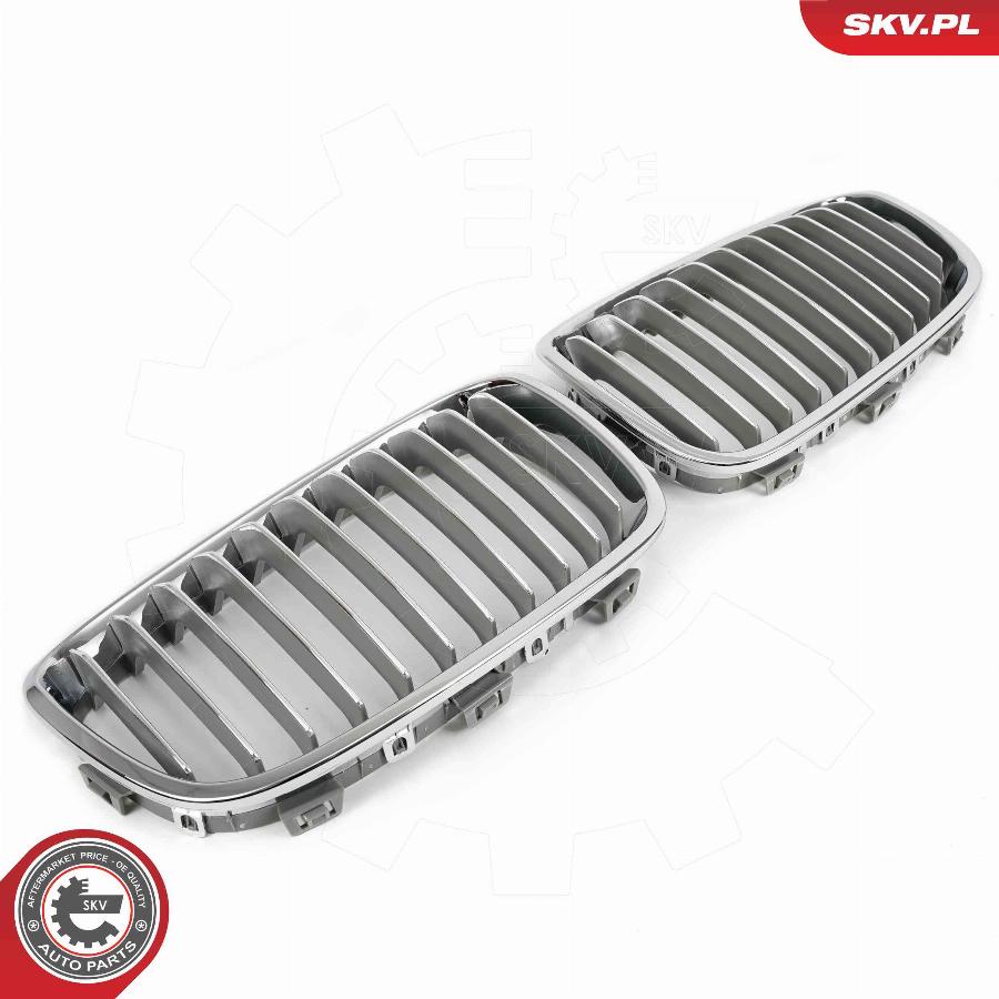 Esen SKV 66SKV015 - Решетка радиатора parts5.com