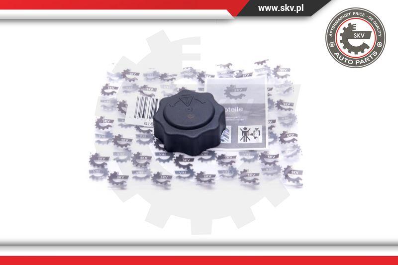 Esen SKV 61SKV016 - Крышка, резервуар охлаждающей жидкости parts5.com