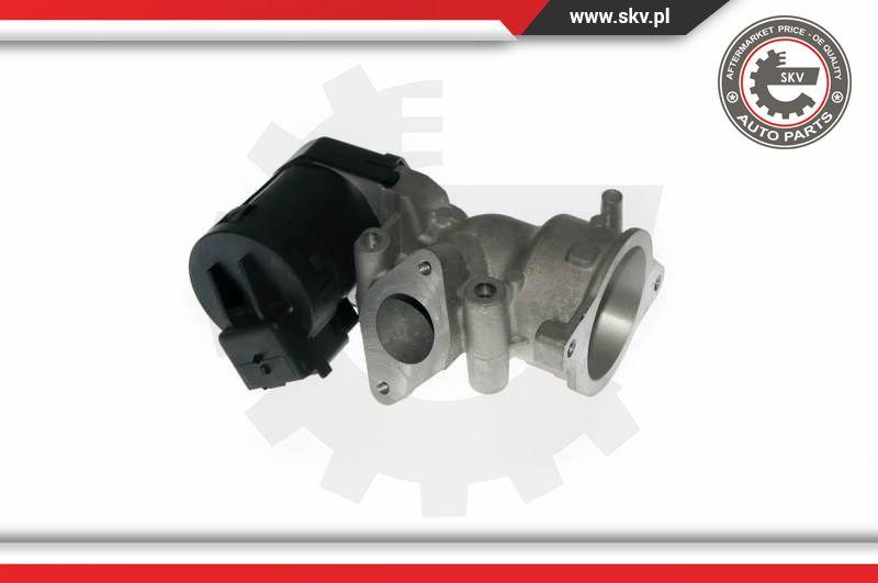 Esen SKV 14SKV057 - Клапан возврата ОГ parts5.com