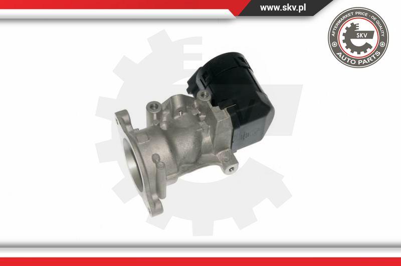 Esen SKV 14SKV057 - Клапан возврата ОГ parts5.com