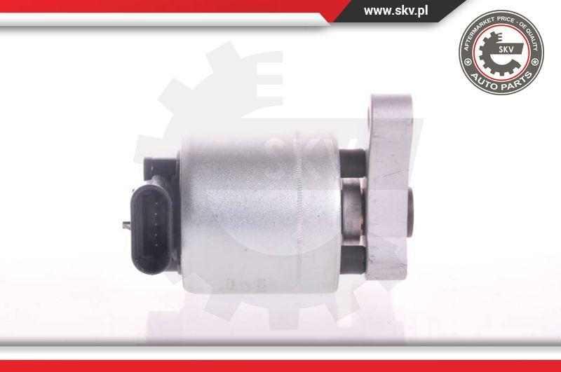 Esen SKV 14SKV004 - Клапан возврата ОГ parts5.com