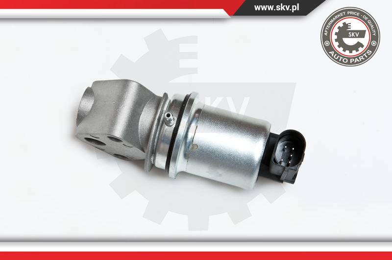 Esen SKV 14SKV007 - Клапан возврата ОГ parts5.com