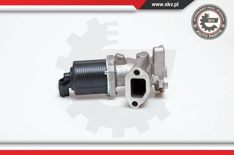 Esen SKV 14SKV014 - Клапан возврата ОГ parts5.com