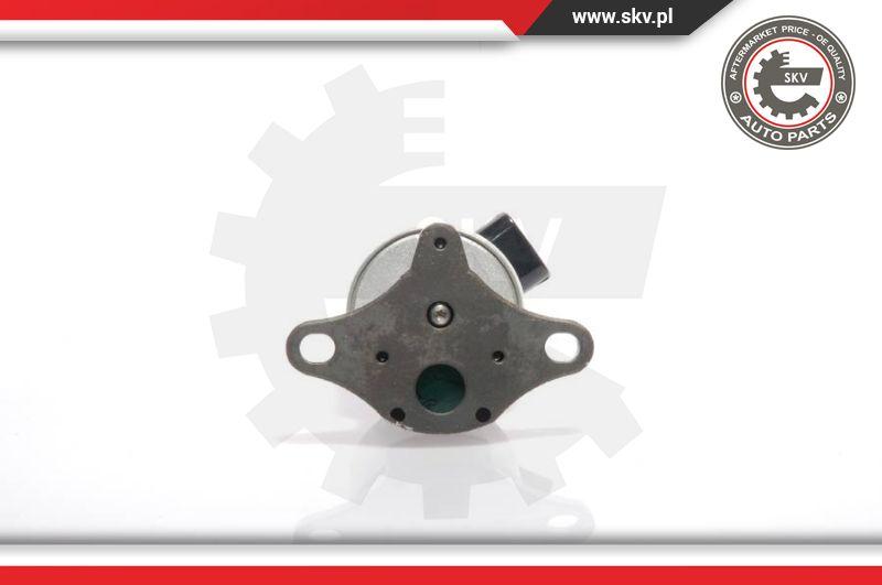 Esen SKV 14SKV017 - Клапан возврата ОГ parts5.com