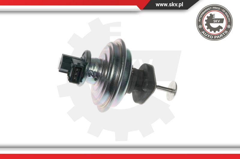 Esen SKV 14SKV078 - Клапан возврата ОГ parts5.com