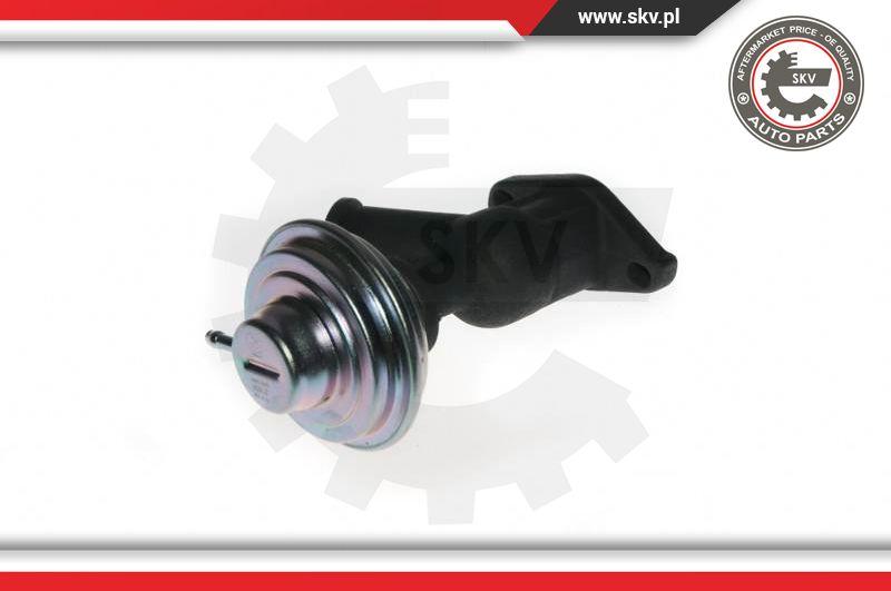 Esen SKV 14SKV077 - Клапан возврата ОГ parts5.com