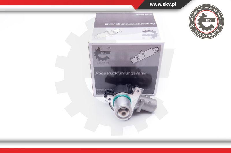 Esen SKV 14SKV163 - Клапан возврата ОГ parts5.com