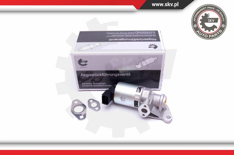 Esen SKV 14SKV208 - Клапан возврата ОГ parts5.com