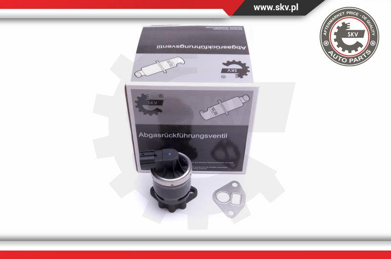 Esen SKV 14SKV210 - Клапан возврата ОГ parts5.com