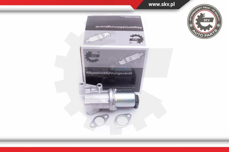 Esen SKV 14SKV211 - Клапан возврата ОГ parts5.com