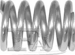 FA1 795-904 - Пружина, глушитель parts5.com