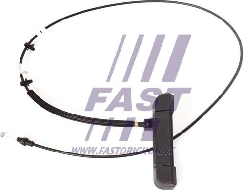 Fast FT94560 - Ручка двери parts5.com