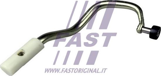 Fast FT95250 - Направляющая ролика, сдвижная дверь parts5.com