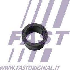 Fast FT96050 - Фиксатор двери parts5.com