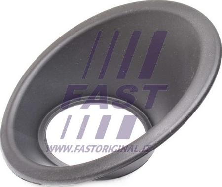 Fast FT91641 - Рама, противотуманная фара parts5.com