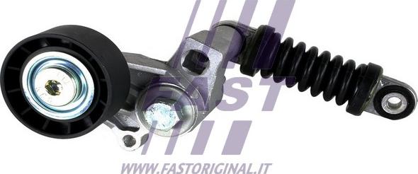 Fast FT44641 - Направляющий ролик, поликлиновый ремень parts5.com