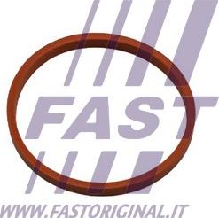 Fast FT48932 - Уплотнительное кольцо, трубка нагнетаемого воздуха parts5.com