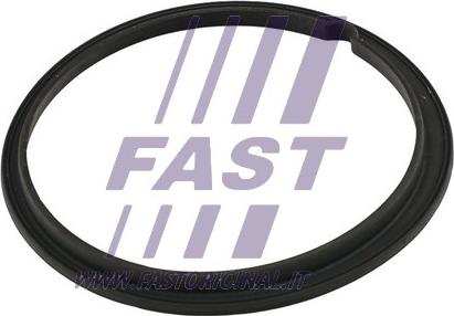 Fast FT48502 - Прокладка, датчик уровня топлива parts5.com