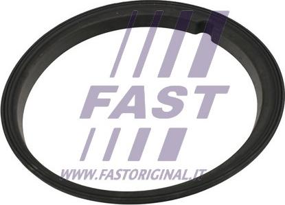 Fast FT48502 - Прокладка, датчик уровня топлива parts5.com