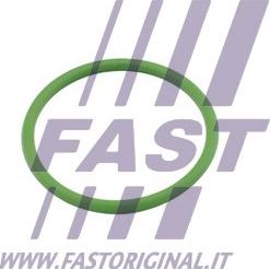 Fast FT48803 - Прокладка, впуск в турбину (компрессор) parts5.com