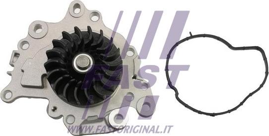 Fast FT57002 - Водяной насос parts5.com