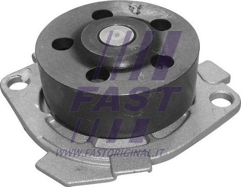 Fast FT57029 - Water Pump parts5.com