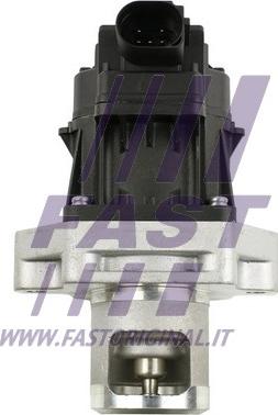Fast FT60234 - Клапан возврата ОГ parts5.com