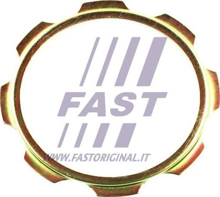 Fast FT26040 - Подкладная пластина, фланец приводного вала parts5.com