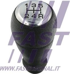 Fast FT73235 - Ручка рычага переключения передач parts5.com