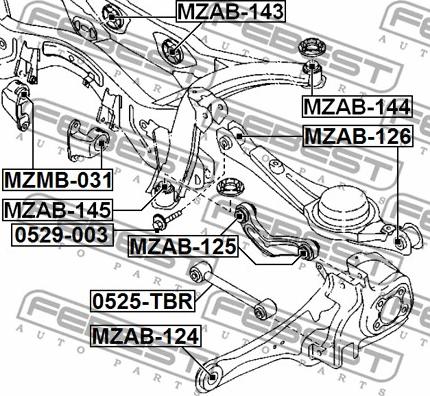 Febest 0529-003 - Болт регулировки развала колёс parts5.com