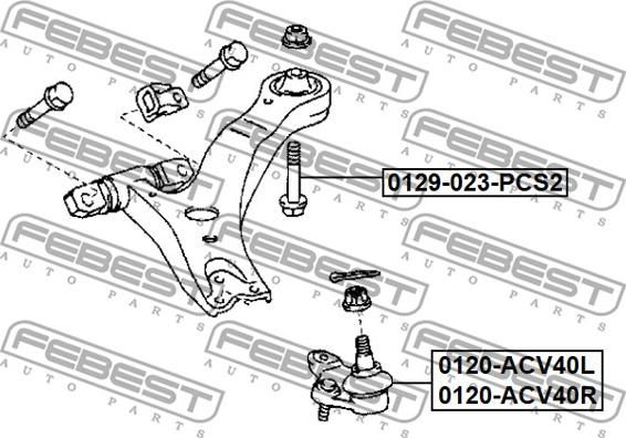 Febest 0129-023-PCS2 - Болт регулировки развала колёс parts5.com