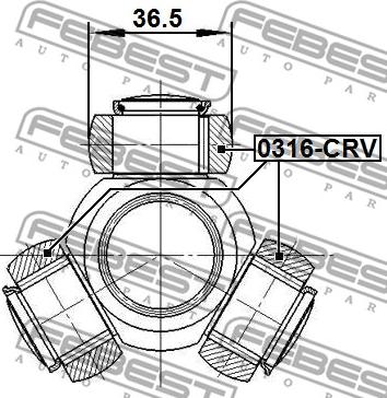 Febest 0316-CRV - Муфта с шипами, приводной вал parts5.com