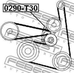 Febest 0290-T30 - Натяжитель, поликлиновый ремень parts5.com