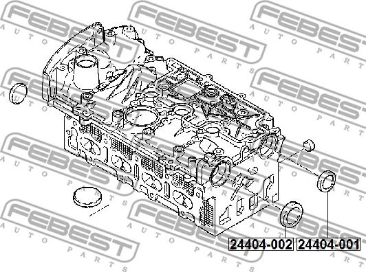 Febest 24404-002 - Заглушка, ось коромысла-монтажное отверстие parts5.com