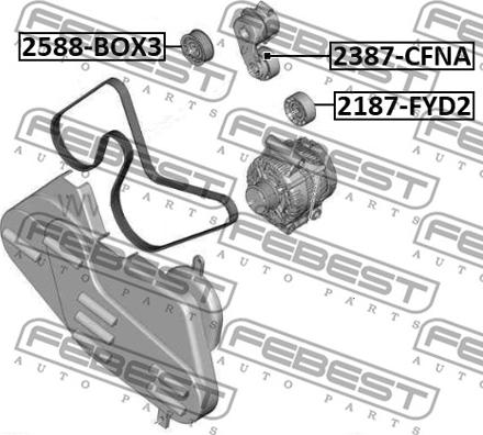 Febest 2588-BOX3 - Направляющий ролик, поликлиновый ремень parts5.com