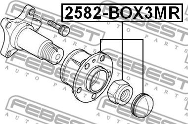 Febest 2582-BOX3MR - Ступица колеса, поворотный кулак parts5.com