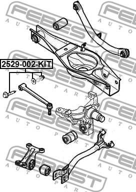 Febest 2529-002-KIT - Болт регулировки развала колёс parts5.com