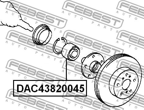 Febest DAC43820045 - Подшипник ступицы колеса parts5.com