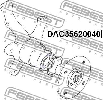 Febest DAC35620040 - Подшипник ступицы колеса parts5.com