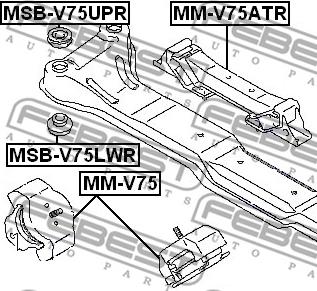 Febest MSB-V75LWR - Втулка, балка моста parts5.com