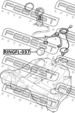 Febest RINGFL-037 - Прокладка, датчик уровня топлива parts5.com