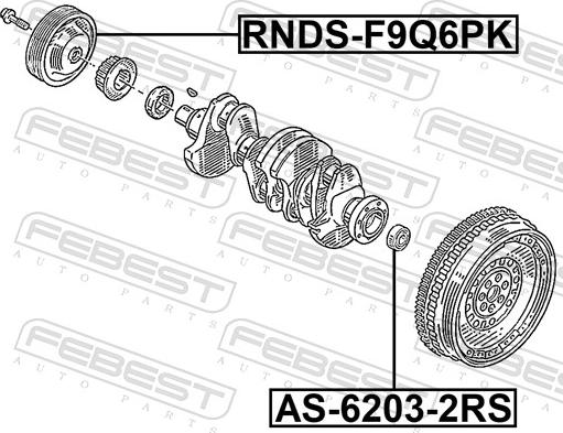 Febest RNDS-F9Q6PK - Шкив коленчатого вала parts5.com