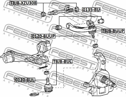 Febest TBJB-XZU308 - Ремкомплект, поворотный кулак parts5.com