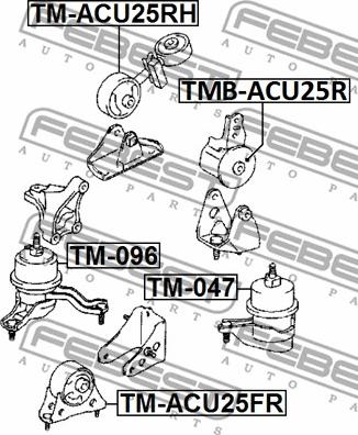 Febest TMB-GSU45RR - Подушка, опора, подвеска двигателя parts5.com