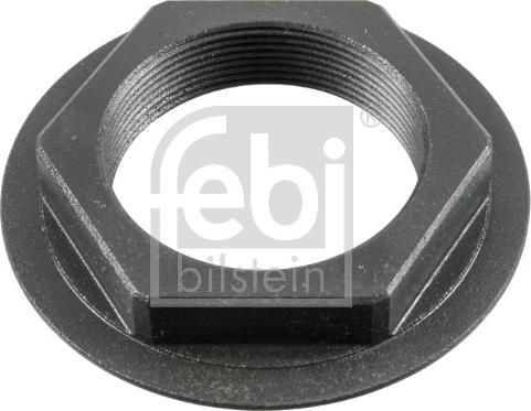 Febi Bilstein 181119 - Гайка, шейка оси parts5.com