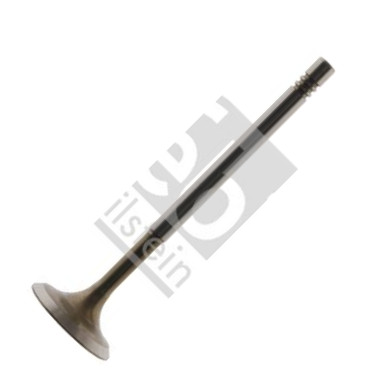 Febi Bilstein 32333 - Впускной клапан parts5.com