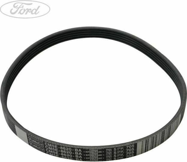 FORD 5113695 - V-Ribbed Belt parts5.com