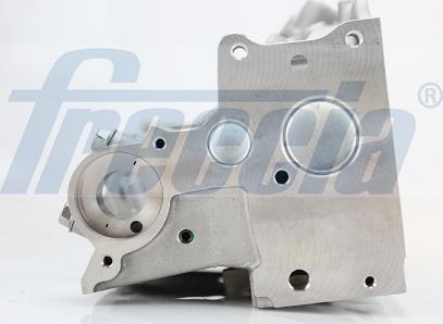 Freccia CH17-1005 - Головка цилиндра parts5.com