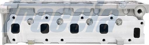 Freccia CH17-1019 - Головка цилиндра parts5.com