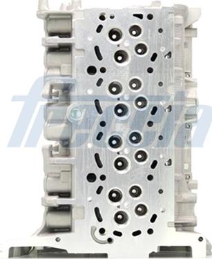 Freccia CH17-1011 - Головка цилиндра parts5.com